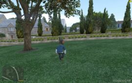 GTA 5 Script Mod: Crouch .LUA (Image #2)