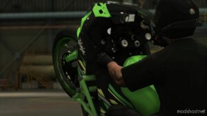 GTA 5 Player Mod: RST Motorcycle Gloves (Image #3)