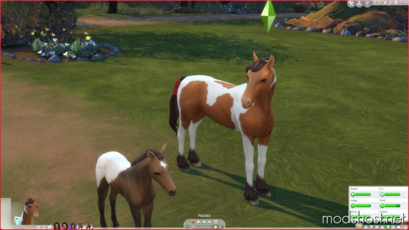 Sims 4 Mod: Always Selectable Pets (Featured)