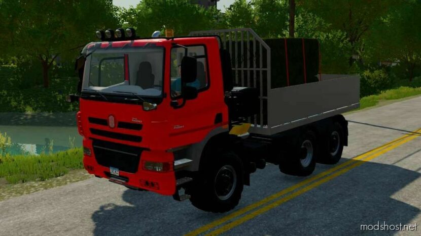 FS22 Mod: Phoenix Flatbed/Salt Truck (Featured)