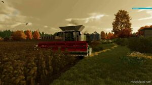 FS22 Claas Combine Mod: C600 Sunflower Beta (Image #2)