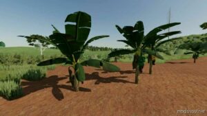 FS22 Mod: Banana Tree (Image #2)