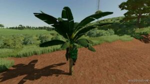 FS22 Mod: Banana Tree (Image #4)