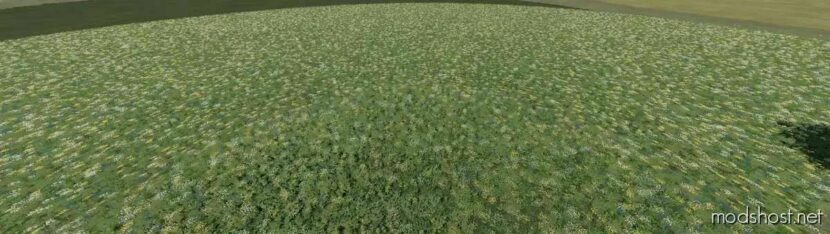 FS22 Object Mod: Flowering Cover Crop Prefab (Featured)