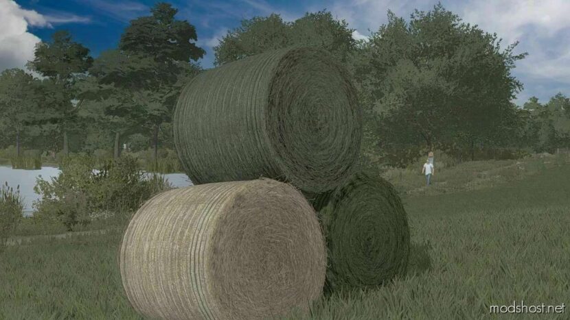 FS22 Mod: Textures Of Bales Of Straw, HAY, Grass (Featured)