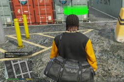 GTA 5 Script Mod: Money Mission V (Image #3)