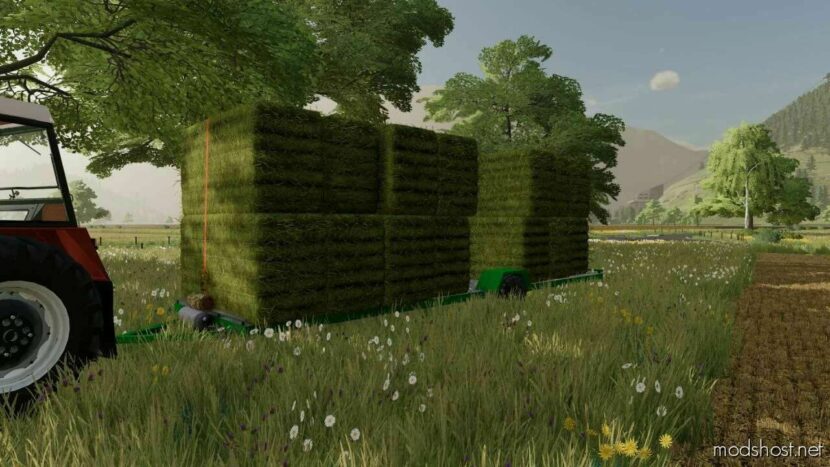 FS22 Mod: STS Bale Trailer V1.1 (Featured)