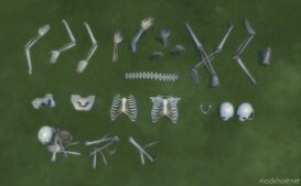 Sims 4 Object Mod: Skeletal Remains In Various States (Image #4)