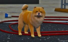 GTA 5 Player Mod: Chow Chow Replace (Image #2)