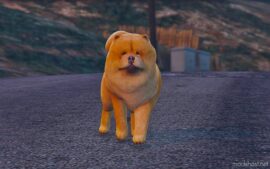 GTA 5 Player Mod: Chow Chow Replace (Image #3)