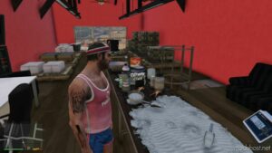 GTA 5 Mod: RED Farm + Secret Drugs LAB Ymap (Image #4)