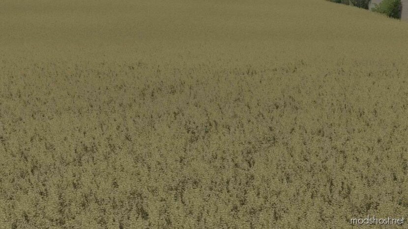 FS22 Textures Mod: OAT Texture (Featured)