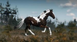 RDR2 Mod: NEW Miscellaneous Horse Coats (Image #5)