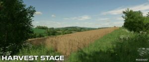 FS22 Mod: Wheat Crop Textures V1.1 (Image #2)