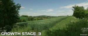 FS22 Mod: Wheat Crop Textures V1.1 (Image #3)