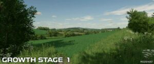 FS22 Mod: Wheat Crop Textures V1.1 (Image #5)