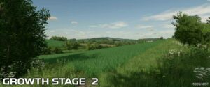 FS22 Mod: Wheat Crop Textures V1.1 (Image #6)