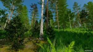 FS22 Map Mod: Beaver Hollow V1.0.1.1 (Image #11)