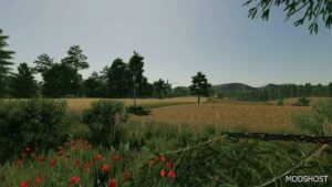 FS22 Mod: Delusion Map (Image #3)