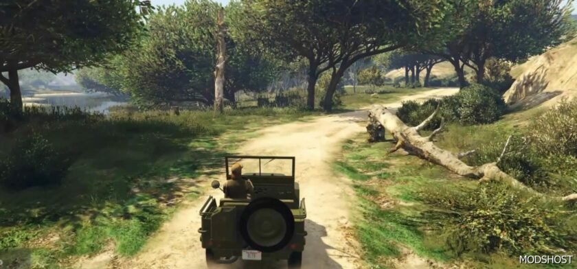 GTA 5 Mod: Custom (More Natural) Swamp Area Ymap (Featured)