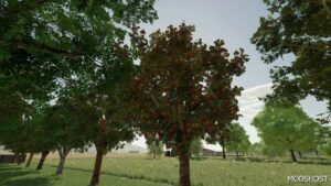 FS22 Placeable Mod: Orchards Fruits (Featured)