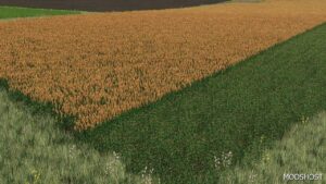 FS22 Textures Mod: NEW Sorghum Texture Ready for Harvest (Featured)