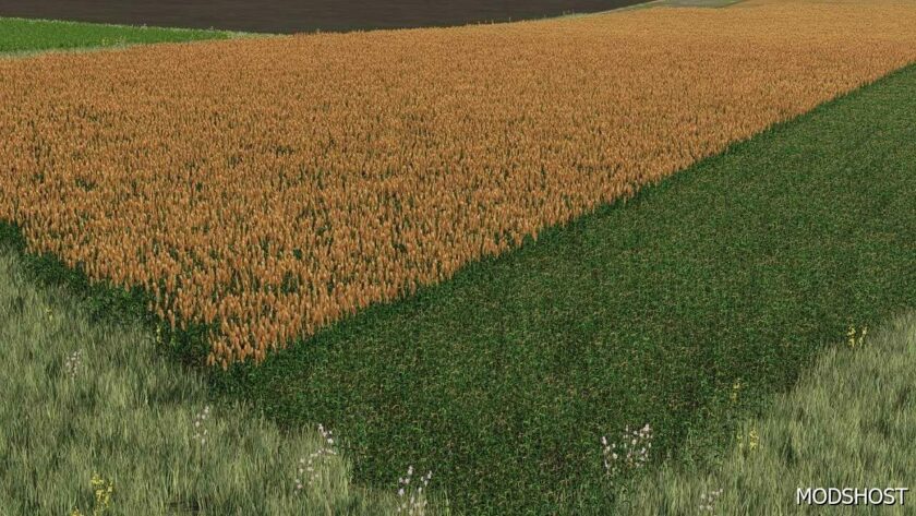 FS22 Textures Mod: NEW Sorghum Texture Ready for Harvest (Featured)