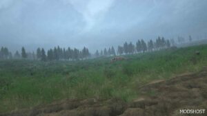 MudRunner Forest Mod: Map (Image #4)