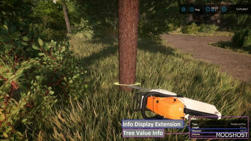 FS22 Mod: Tree Value Info V1.0.3 (Featured)