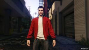 GTA 5 Player Mod: MP Male Custom Bomber Jacket (Image #5)