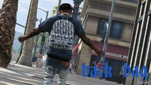 GTA 5 Player Mod: Dior Pack for Franklin (Image #4)