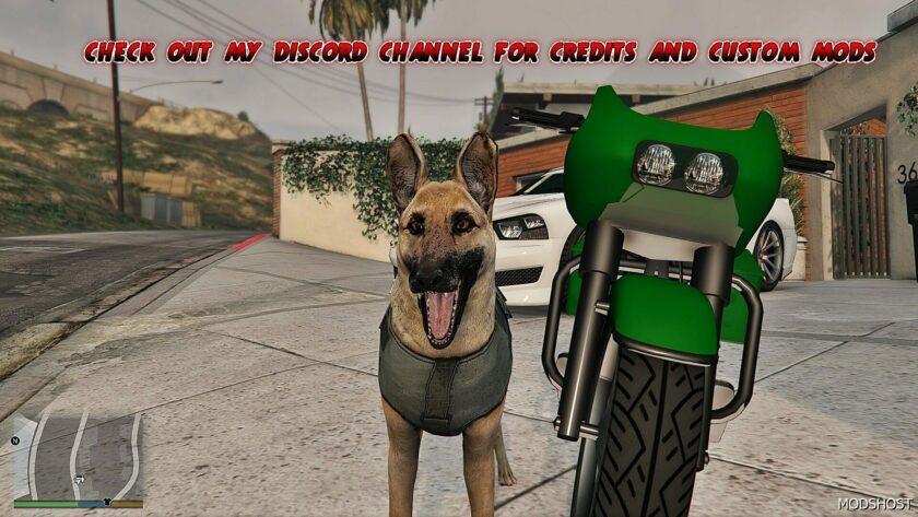 GTA 5 Player Mod: German Shepherd (K9) (Featured)