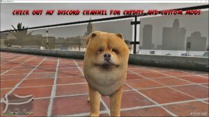 GTA 5 Player Mod: Chow Chow (Featured)