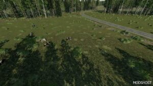 FS22 Mod: Takapajula 4X Map (Image #5)