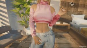 GTA 5 Player Mod: Wool Separate Sleeve TOP for MP Female (Image #2)