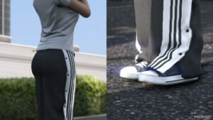 GTA 5 Player Mod: Adidas Buttoned Tracksuit Pants MP Female (Image #3)