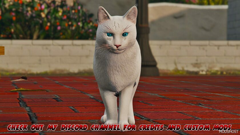 GTA 5 Player Mod: White Maine Coon CAT (Replace) (Featured)