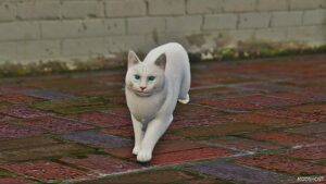 GTA 5 Player Mod: White Maine Coon CAT (Replace) (Image #2)