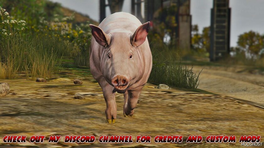 GTA 5 Player Mod: Realistic PIG (Replace) (Featured)