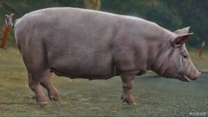 GTA 5 Player Mod: Realistic PIG (Replace) (Image #3)