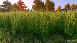 FS22 Textures Mod: Grass Texture (Featured)