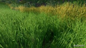 FS22 Textures Mod: Grass Texture (Image #3)