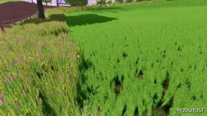 FS22 Textures Mod: Grass Texture with Alfalfa (Image #2)