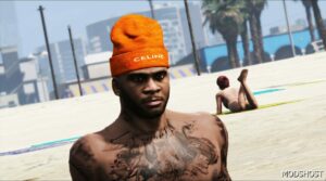 GTA 5 Player Mod: Beanies Celine for Franklin (Image #5)