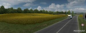 ETS2 Realistic Mod: Graphics Mod 1.49.5.400S (Image #3)