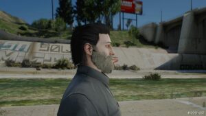 GTA 5 Player Mod: Real Beards for MP Male (Image #2)