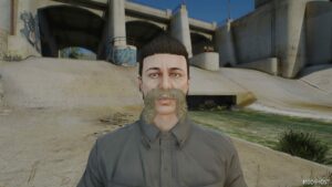 GTA 5 Player Mod: Real Beards for MP Male (Image #3)