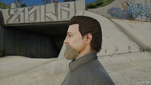 GTA 5 Player Mod: Real Beards for MP Male (Image #4)