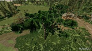 FS22 Mod: Araucarias (Featured)