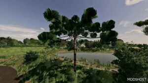 FS22 Mod: Araucarias (Image #2)